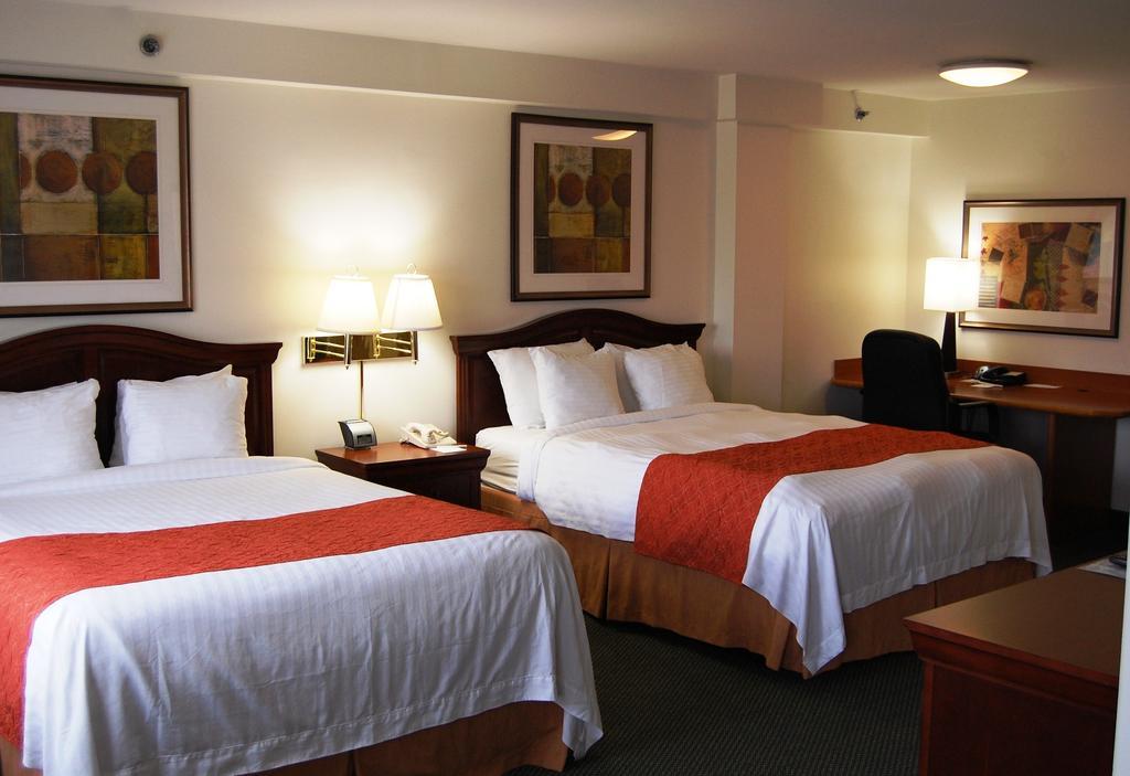 Washington Suites 亚历山德里亚 客房 照片