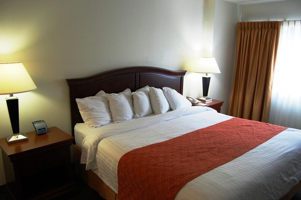 Washington Suites 亚历山德里亚 客房 照片